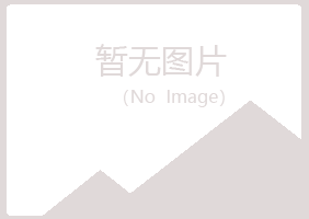 冠县冰夏运输有限公司